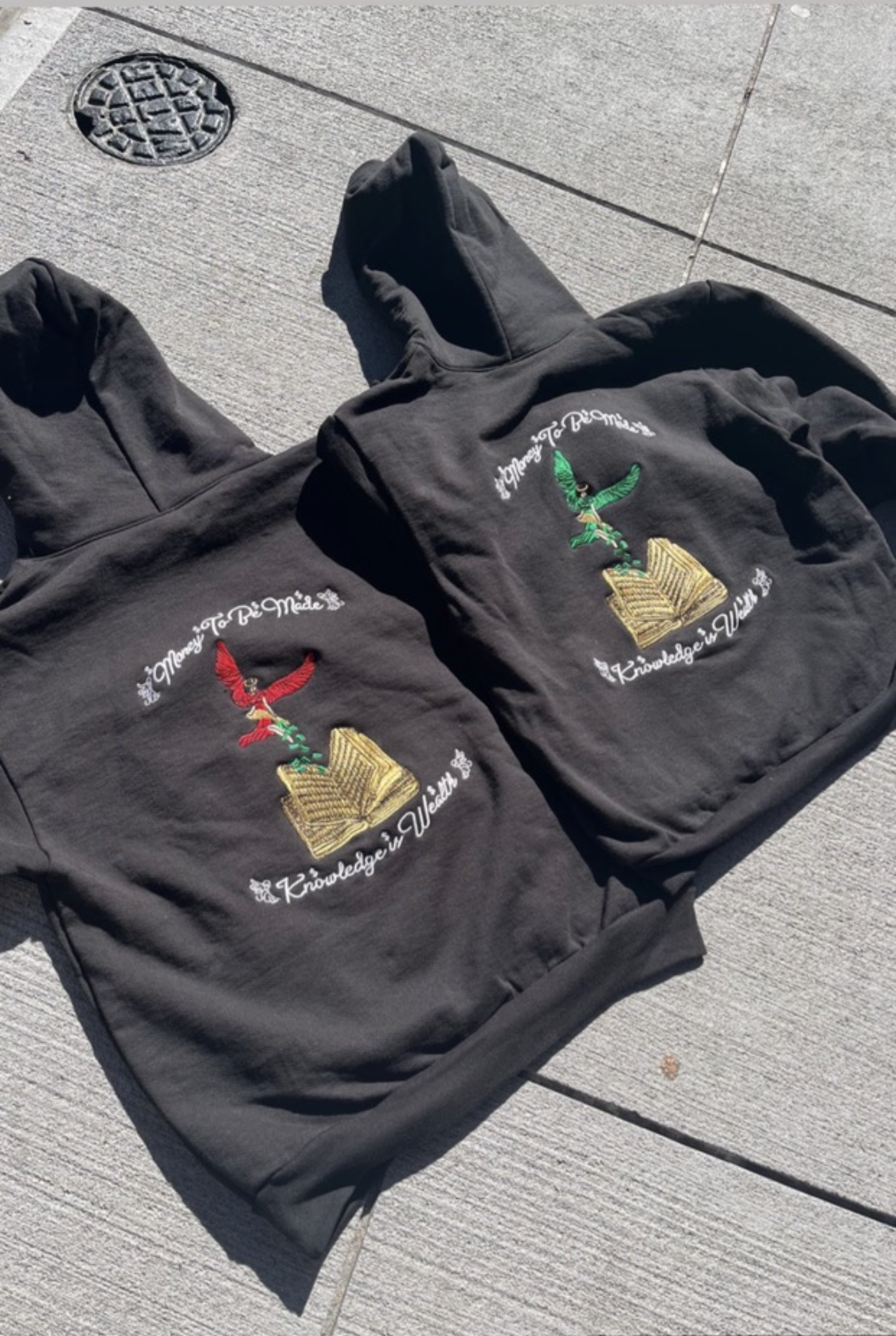 Knowledge Is Wealth Hoodie
